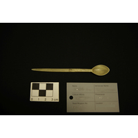 Snuff Spoon (view 1)