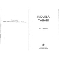 Indlela Yababi