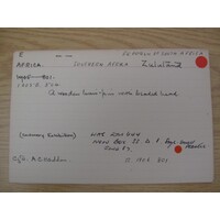 MAA catalogue card E 1905.504 (01)