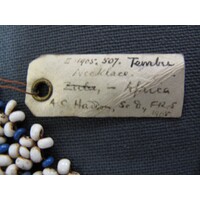 Rectangular parchment label tied to object