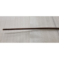 Spear (in quiver) (view 2)