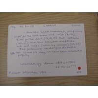 MAA catalogue card, E 1914.90.9 (01)