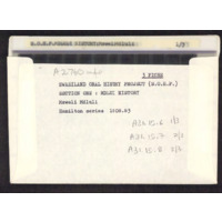 Msweli Mdluli envelope with microfiche