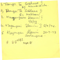 Magangeni Dlamini, additional notes