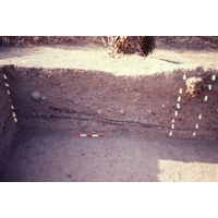 Slide of a midden excavation