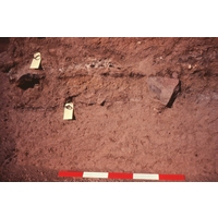 Slide of a detail of a midden excavation