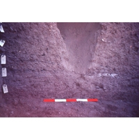 Slide of a detail of a midden excavation