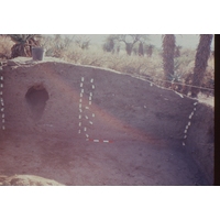 Slide of excavated midden