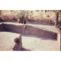 Slide of excavated midden
