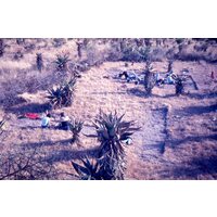 Slide of lower excavation (by Oliver Davies)
